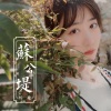 杨一歌 - 苏公堤