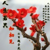 百越子龙 - 白汝浩的离殇