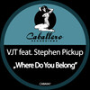 VJT、Stephen Pickup - Where Do You Belong (Extended Mix)(Feat. Stephen Pickup)()