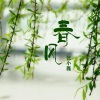 张小磊 - 或许你并没有那么爱我