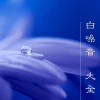 白噪音乐队《白噪音大全》[MP3/LRC]