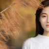 一只呆橘 - 念念