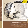 johanna martzy、Stuttgart Radio Symphony Orchestra、Hans Müller Kray《I. Allegro molto appassionato -》[MP3/LRC]