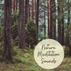 Music to Relax in Free Time - Chakra