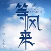 零凌、清歌儿 - 梧桐树的哭泣
