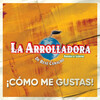 La Arrolladora Banda el Limón de Rene Camacho - ¡Cómo Me Gustas!