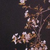 小鬼头 - 踏山河