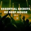 Terry Lee Brown Junior - Insectisuicides (Watchman Remix)