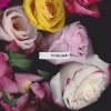 Sir Sly、Gary Clark Jr. - Citizen