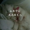 薛梓源 - 选择失忆