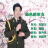 朱跃明 - 绿色军衣