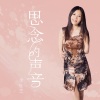 李桂芝 - 思念的声音
