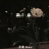 晨小曦 - 其实 (晨曦DJ版)