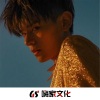 DJ虎太郎、皇阿玛、苏鹤、韩雅乐《歲月无声却让人心酸》[MP3/LRC]