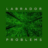 Labrador - Problems