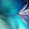 Illumicorp - Music For Special Moments