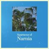 Ryne Syspar - Decisive Chill Flipped