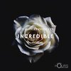 Deejay Fingers、Stickz、bubbles - Incredible (feat. Bubbles & Stickz)