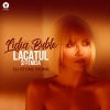 Lidia Buble - Lacătul Și Femeia (DJStoneRemix)