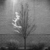Loudly de Renzy - Orange Trees