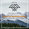 Circle Of Life、Cicchino - Karadjordje (Cicchino Remix)