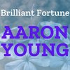Aaron Young - Abashed Destruction