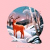 Kust - Cold Morning
