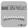 Darren Bailie、Guru Josh Project - Flashbang (Radio)