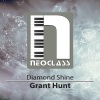 Grant Hunt - Diamond Shine