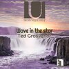 Ted Grosvenor - Wave in the Star