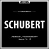 Peter Frankl - Fantasie für Klvier Solo in C Major, D. 760