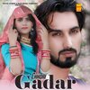Wasim Akram Alwar、Chanchal Mewati - 10 Rupya Ki Baat Mewati (feat. Chanchal Mewati)