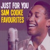 Sam Cooke《Just For You》[MP3/LRC]