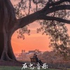 在忠、尹飞 - 迷人的危险 (DJ版)