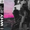 SHRK、Valentin Stip、ejbthekid - WHY (Explicit)