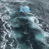 李来顺 - 大鱼 (拇指琴版)