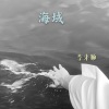 李来顺 - Professional (Remix)