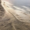 涵大大、虞姬、小奶瓶、车载音乐汇 - 和我回家 (DJ版)