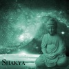 Bhajam、Kali - Asato Ma
