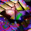 Conny、King Ital Rebel - Pretty Butterfly (feat. Conny)