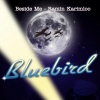 ramin - Beside Me