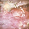 獨立小橋風滿秀 - 梦遣看花人
