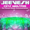 Jeevesh - Cozy Whisper