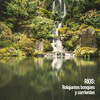 Rivers and Streams、Waterfall Sounds、Water Science - Ríos del bosque en primavera