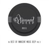 Aney F.、Avance (Italy) - Deep Pleasure (Original Mix)