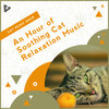 Cat Music Hour - Background Music for Cats