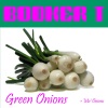 booker t. & the mg's、booker t. - Green Onions