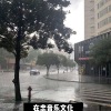 在忠、唐总、张诗微 - 欧美潮音 (DJ电摇版)