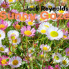 Jack Reynolds - Sunny Gaze
