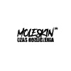 Moleskin《Czas rozliczenia》[MP3/LRC]